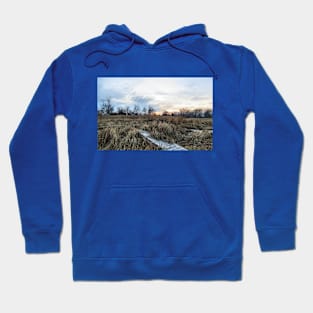 Ontario Marsh No.5 Hoodie